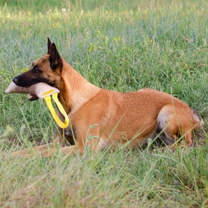 Джутовый жгут кусалка с ручкой «Agility Dog» для малинуа